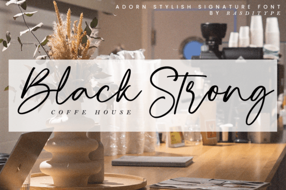 Adorn Stylish Font Poster 7