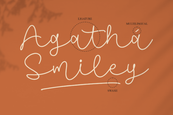 Agatha Smiley Font Poster 12