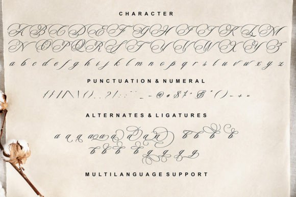 Aisha Lovely Font Poster 10