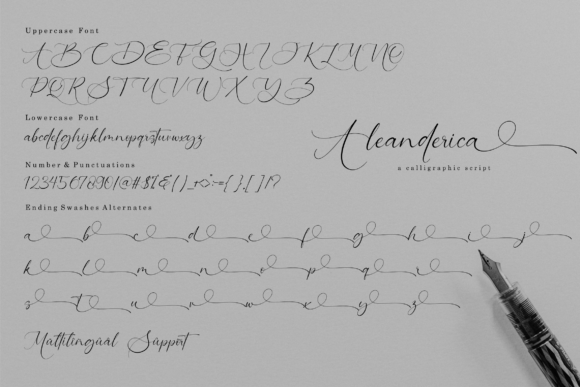 Aleanderica Font Poster 2