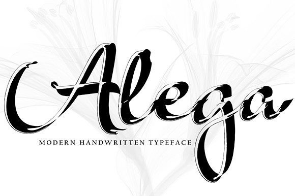 Alega Font Poster 1