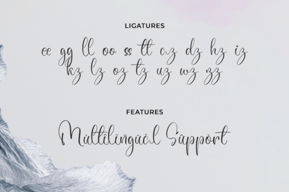 Alesandria Font Poster 11