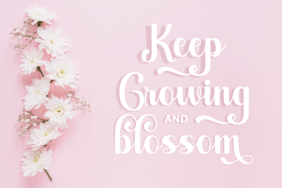 Alicia Charlotte Font Poster 2