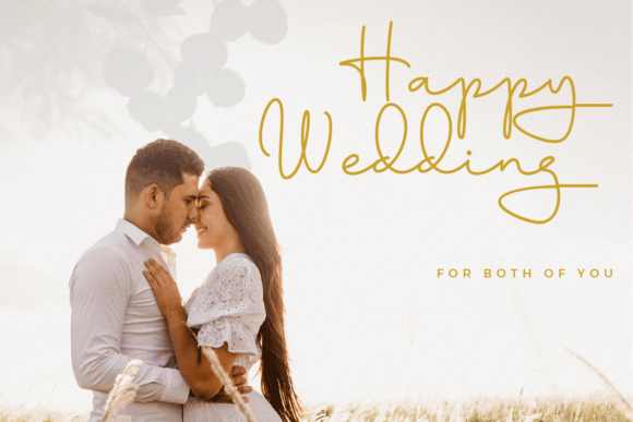 Aline Signature Font Poster 5