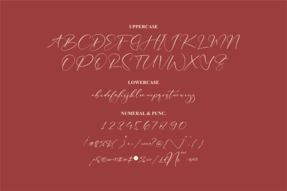 Allaberty Novelya Font Poster 13