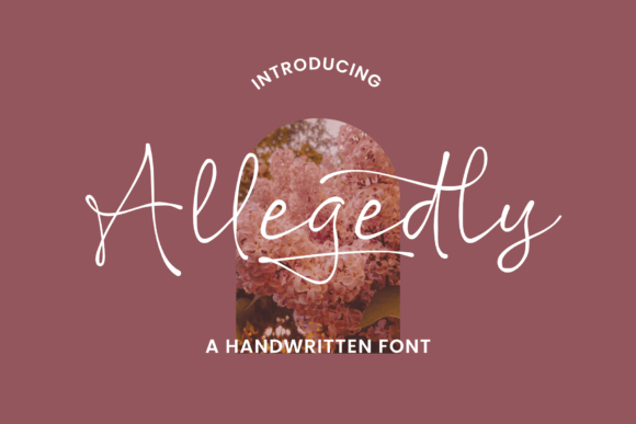 Allegedly Font Allegedly Font Poster 1