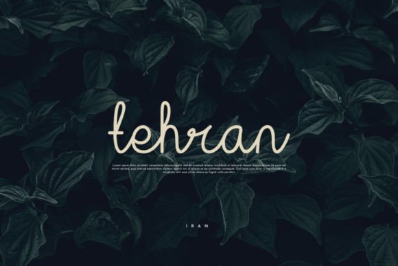 Alleigra Font Poster 7