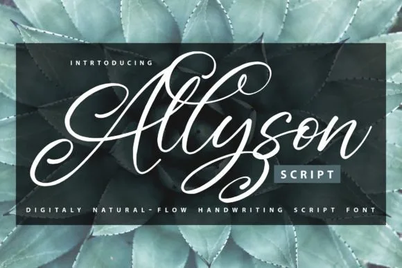 Allyson Font Allyson Font Poster 1
