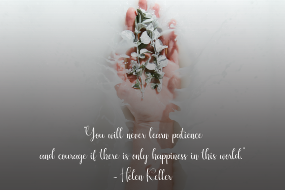Almond Milk Font Poster 5