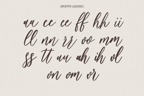 Aluna French Font Poster 9