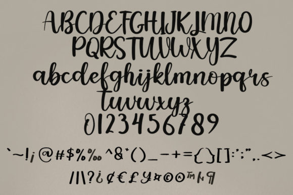 Amanda Beauty Font Poster 5