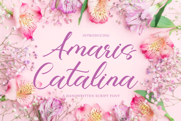 Amaris Catalina Font Poster 1