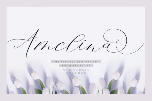 Amelina Duo Font Poster 1
