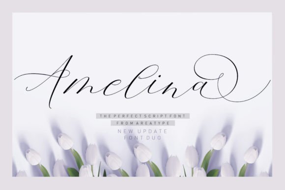 Amelina Duo Font