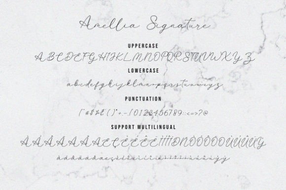 Amellia Signature Font Poster 9