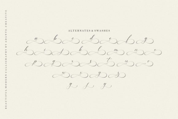 America Calligraphy Font Poster 9