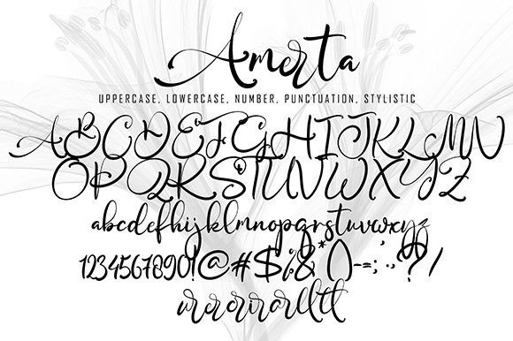 Amerta Font Poster 10