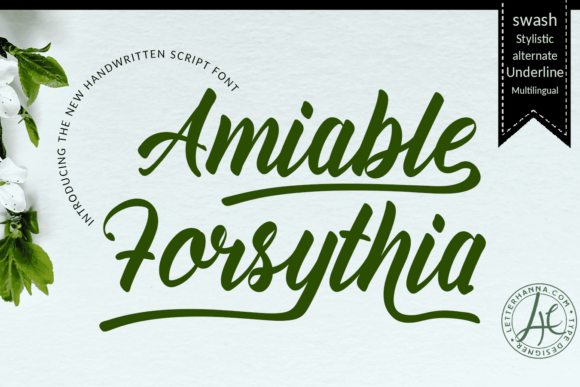 Amiable Forsythia Font Poster 1