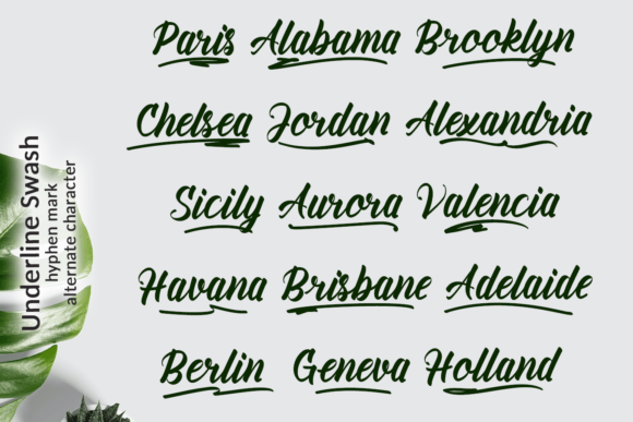 Amiable Forsythia Font Poster 13