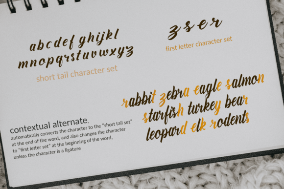 Amiable Forsythia Font Poster 14