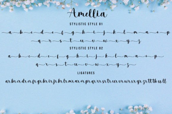 Amilla Font Poster 10