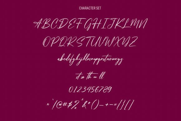 Amore Roses Font Poster 8
