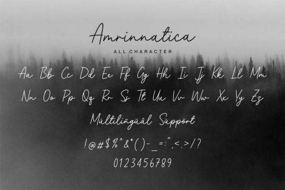 Amrinnatica Font Poster 9