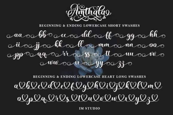 Amthala Font Poster 8
