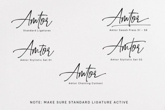 Amtor Font Poster 6