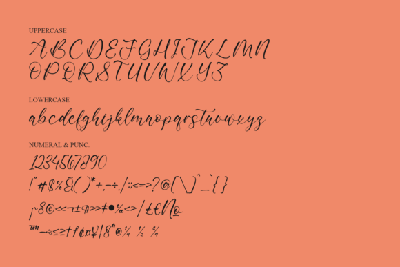 Amynda Ramond Font Poster 13