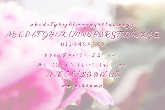 Anastasia Font Poster 6