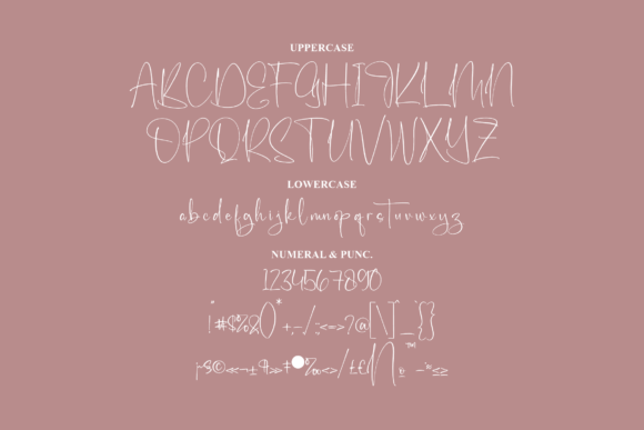Anchestra Font Poster 13