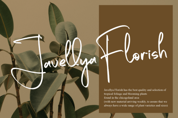 Andalante Font Poster 9