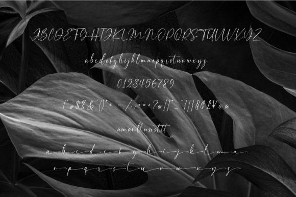 Andaman Font Poster 11