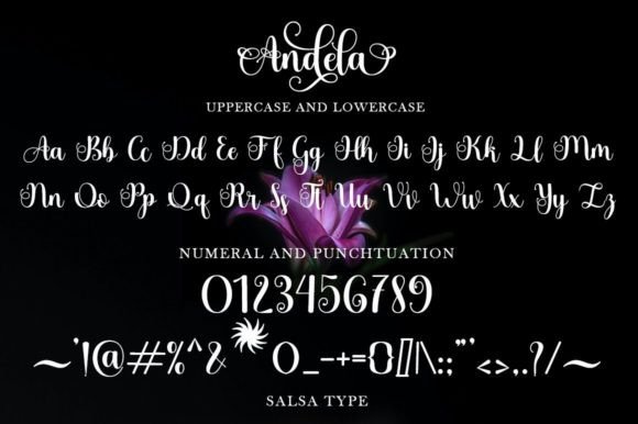 Andela Font Poster 6