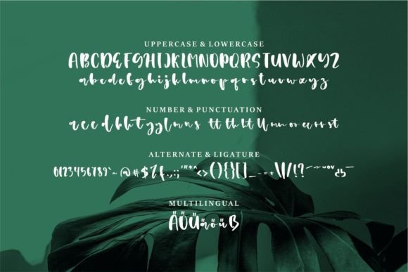 Anderst Font Poster 6