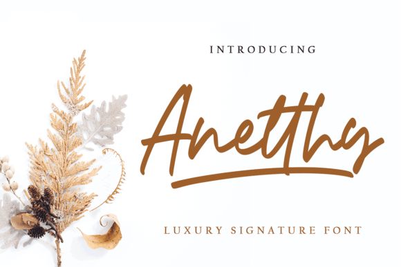 Anetthy Font Poster 1