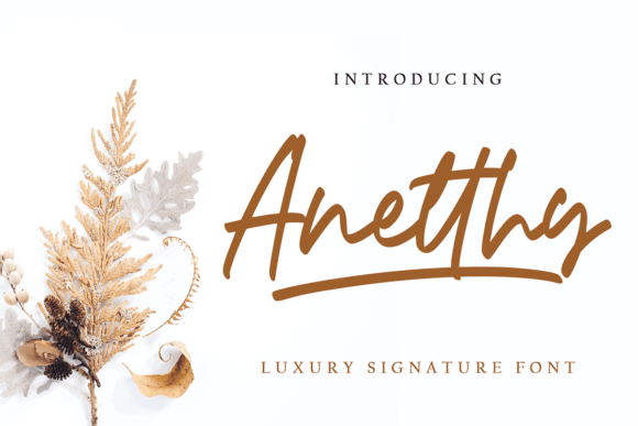 Anetthy Font Anetthy Font Poster 1