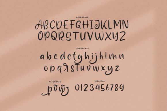 Anforgiv Font Poster 2
