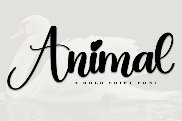 Animal Font