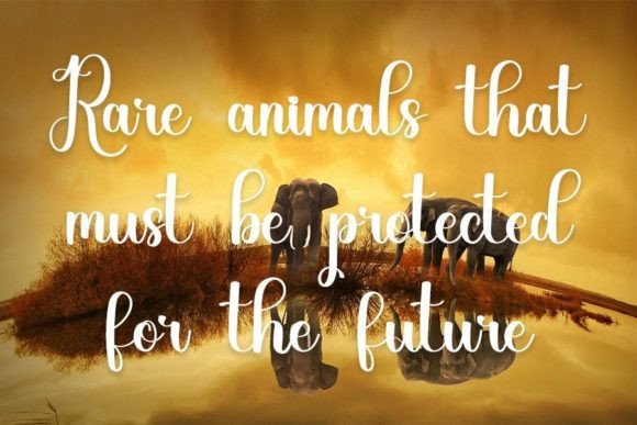 Animals Font Poster 3