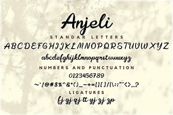Anjeli Font Poster 8