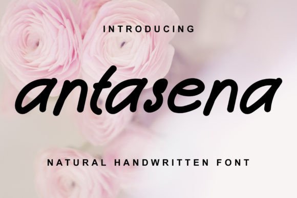 Antasena Font Poster 1