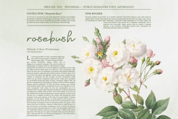 Anthology Font Poster 6