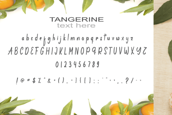 Anting Font Poster 4