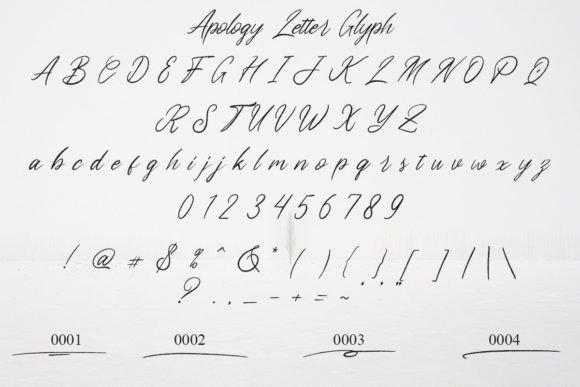 Apology Letter Font Poster 4