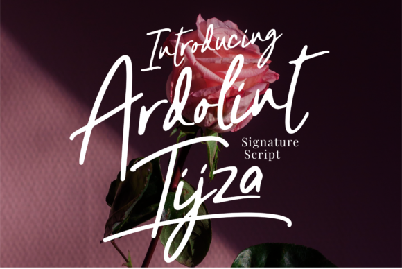 Ardolint Tijza Font Poster 1