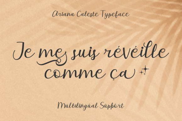 Ariana Caleste Font Poster 8