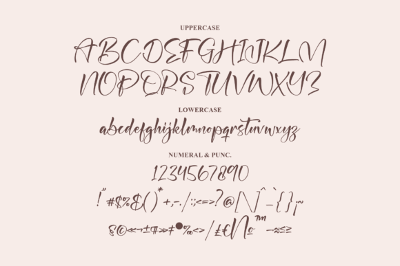 Arindyta Kalina Font Poster 13