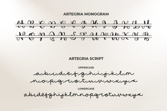 Artegria Duo Font Poster 4